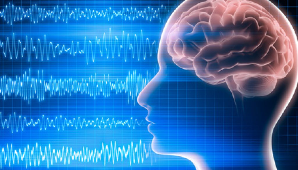 EEG 3