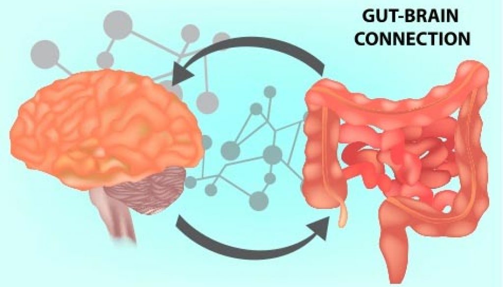 blog-gut-brain-connection