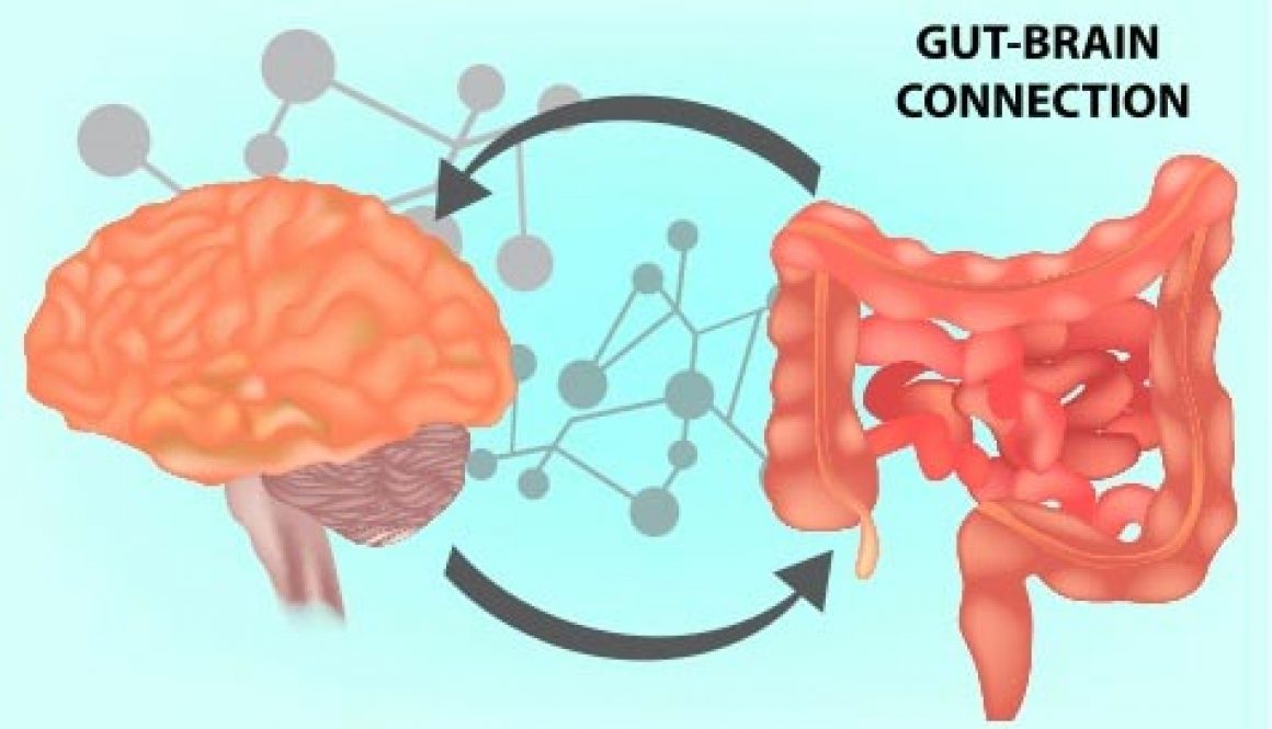 blog-gut-brain-connection