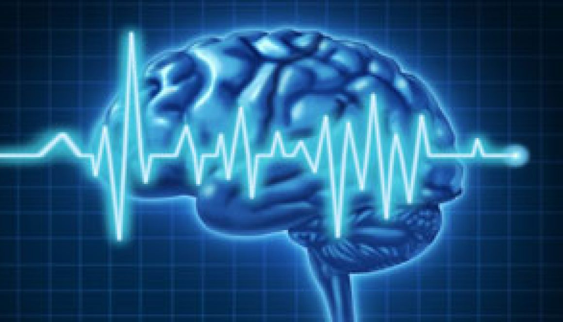 blog_brain_function